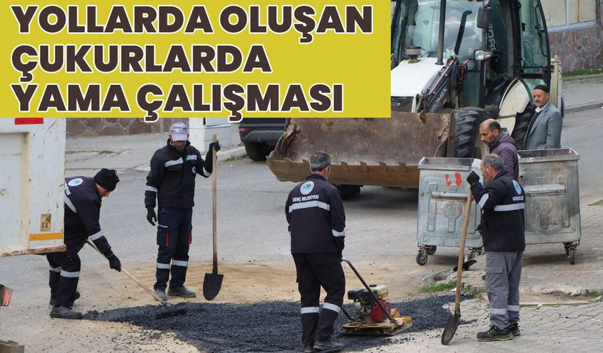 Bingöl’ün İlçesinde Yol Onarım Çalışması