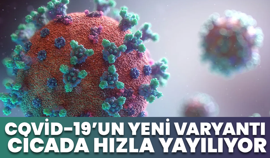 Covid-19’un Yeni Varyantı “Cicada” Hızla Yayılıyor