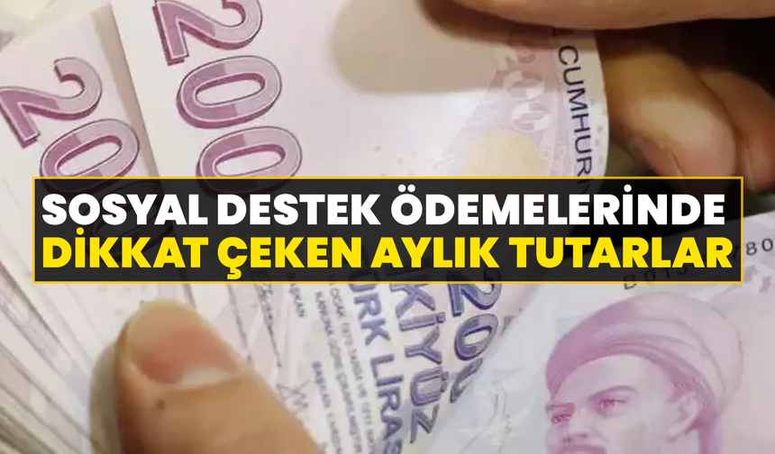 Sosyal Destek Ödemelerinde Dikkat Çeken Aylık Tutarlar