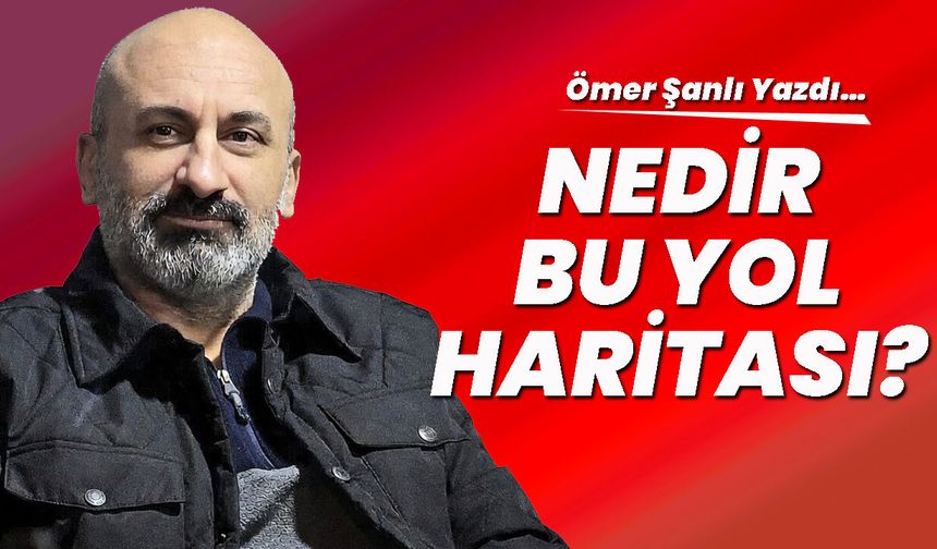 NEDİR BU YOL HARİTASI?