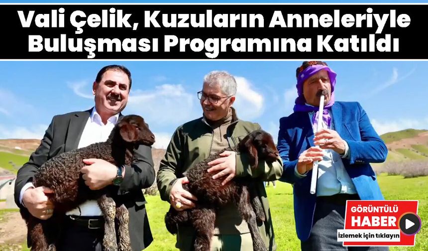 Vali Çelik Kuzuların Buluşması Programına Katıldı