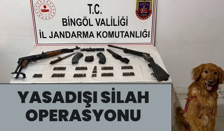 Karlıova'da Yasadışı Silah ve Mühimmat Ele Geçirildi
