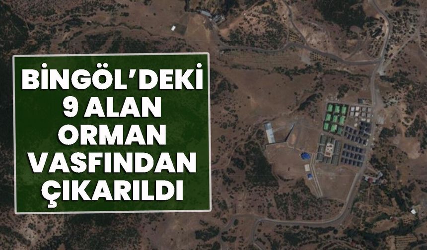 Bingöl’deki 9 Alan Orman Vasfından Çıkarıldı