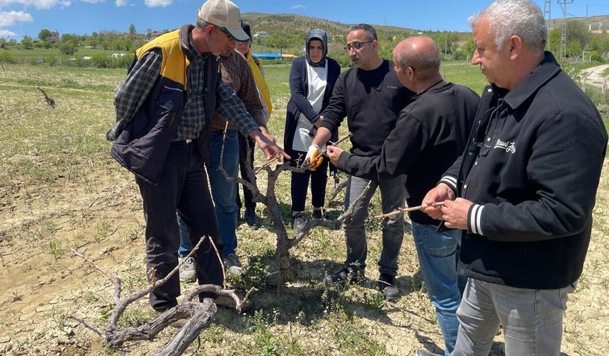 Elazığ'da Çiftçiye 'Tarla Okulu' Eğitimi