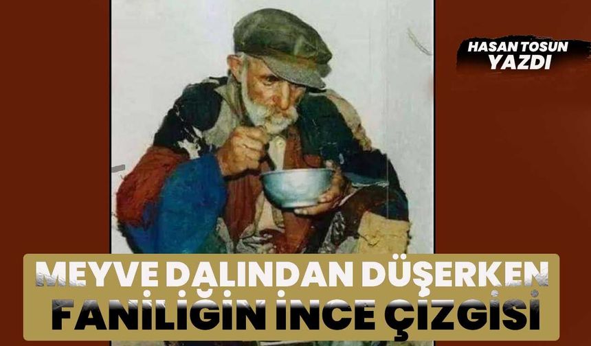 MEYVE DALINDAN DÜŞERKEN FANİLİĞİN İNCE ÇİZGİSİ