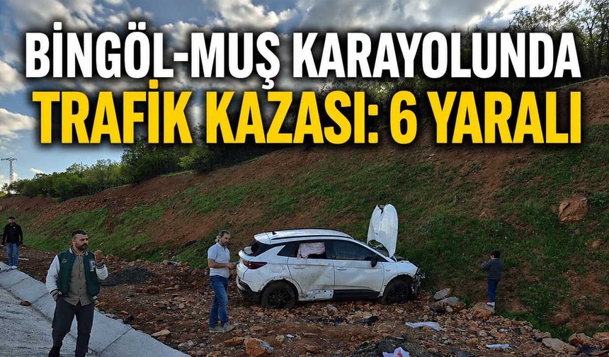 Bingöl-Muş Karayolunda Trafik Kazası: 6 Yaralı