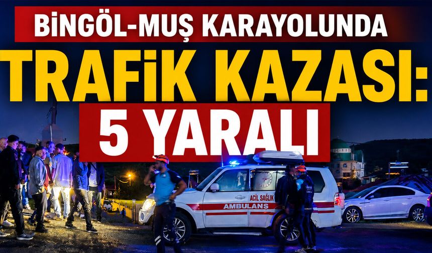 Bingöl-Muş Karayolunda Trafik Kazası: 5 Yaralı