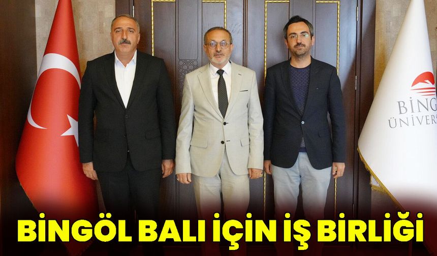 Bingöl Balı İçin İş Birliği