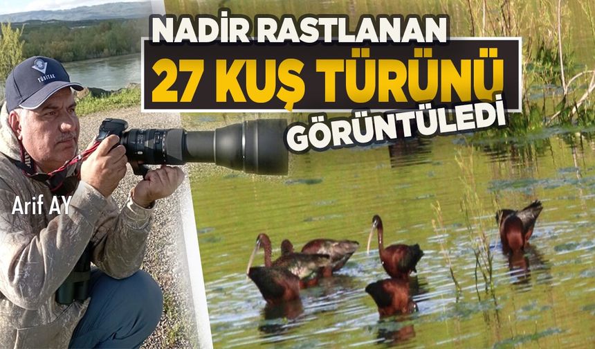 Bingöl’deki Sulak Alanlar Ender Rastlanan Kuş Türlerine Ev Sahipliği Yapıyor