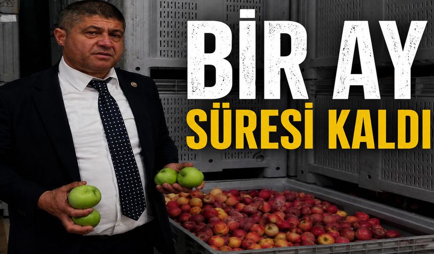 Bir Ay Kaldı: Depolardaki 50 Bin Ton Elma İçin Kritik Süreç!
