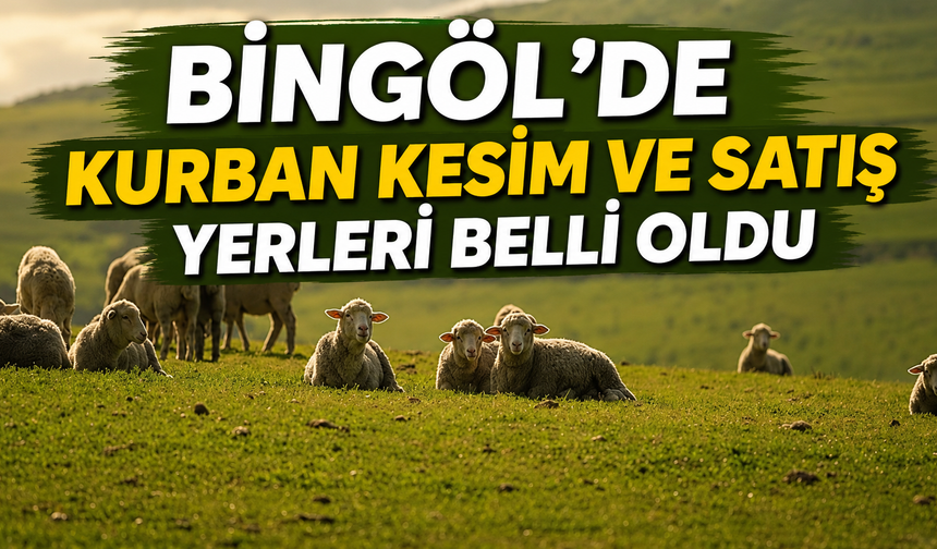 Bingöl’de Kurban Kesim Ve Satış Yerleri Belli Oldu