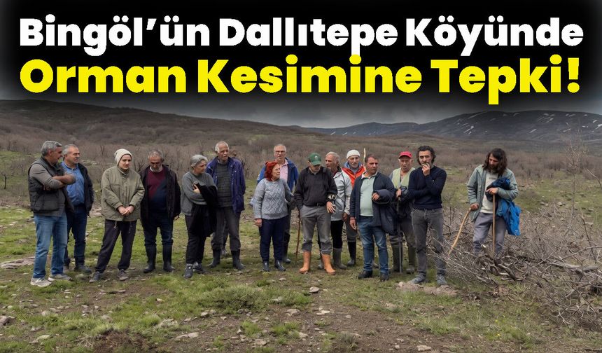 Bingöl’ün Dallıtepe Köyünde Orman Kesimine Tepki!