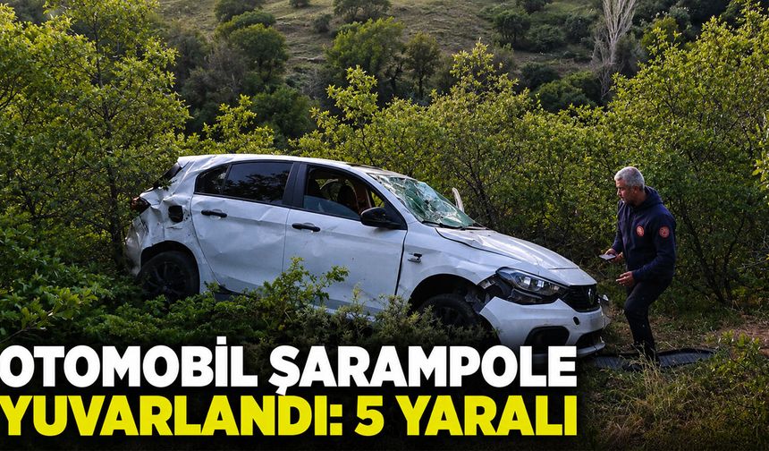Bingöl'de Otomobil Şarampole Yuvarlandı: 5 Yaralı