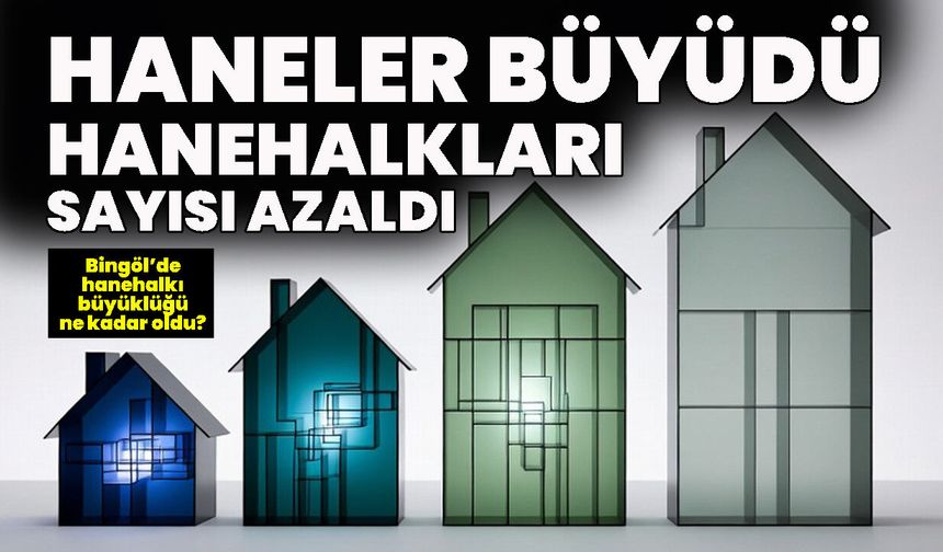 Tek Ebeveynli Ailelerin En Fazla Olduğu İl Bingöl