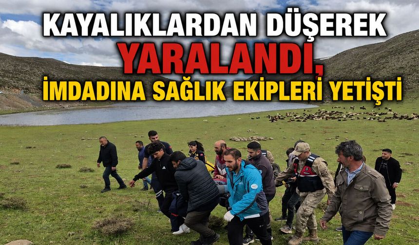 Bingöl'de Kayalıklardan Düşerek Yaralanan Vatandaşın İmdadına Sağlık Ekipleri Yetişti