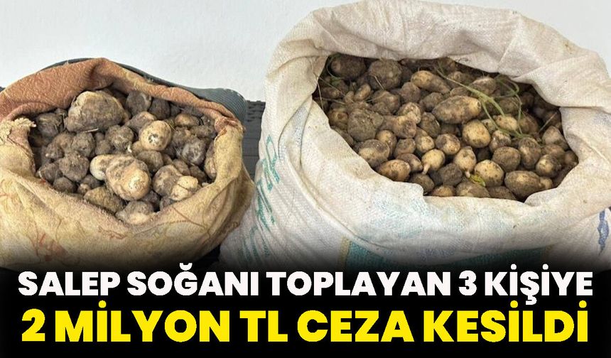 Salep Soğanı Toplayan 3 Kişiye 2 Milyon TL Ceza Kesildi