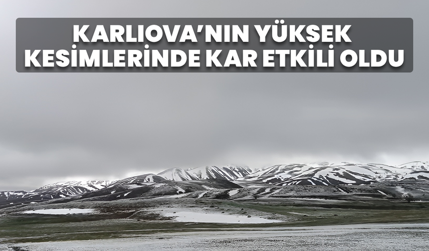 Karlıova’nın Yüksek Kesimlerinde Kar Etkili Oldu