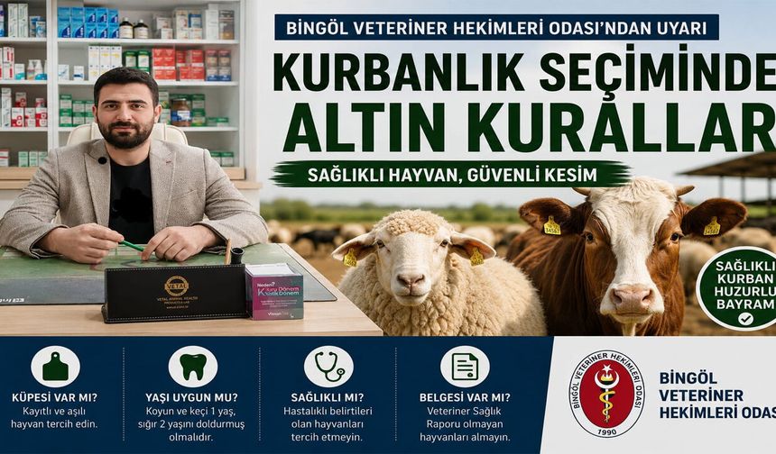 Kurbanlık Seçiminde Altın Kurallar: Sağlıklı Hayvan Nasıl Anlaşılır?