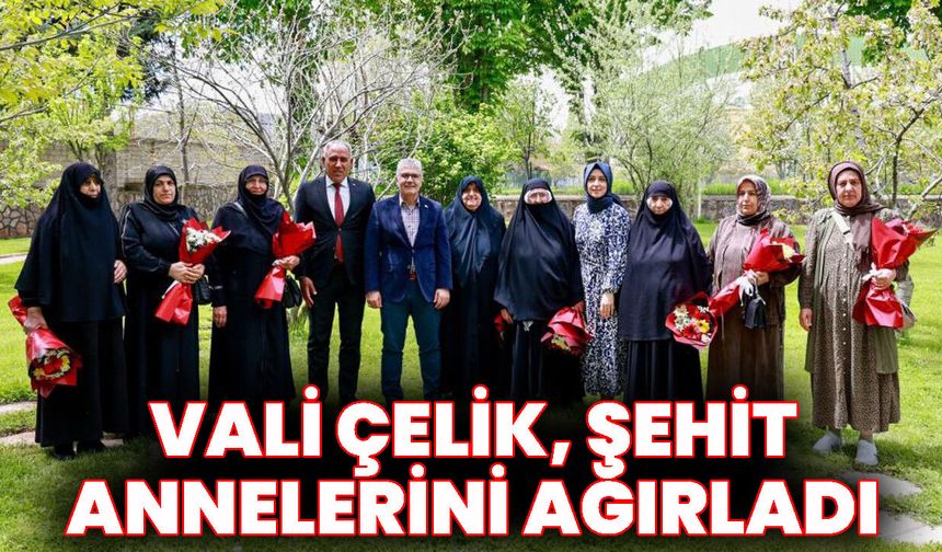 Vali Çelik, Şehit Annelerini Ağırladı