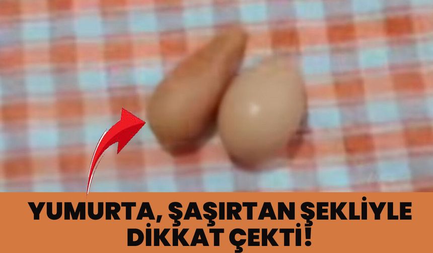 Bingöl’de Şaşırtan Yumurta!