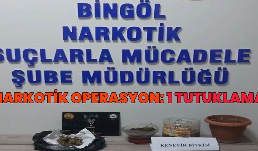 Bingöl'de Narkotik Operasyon: 1 Tutuklama