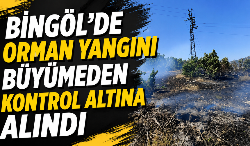Bingöl’de Orman Yangını Büyümeden Kontrol Altına Alındı