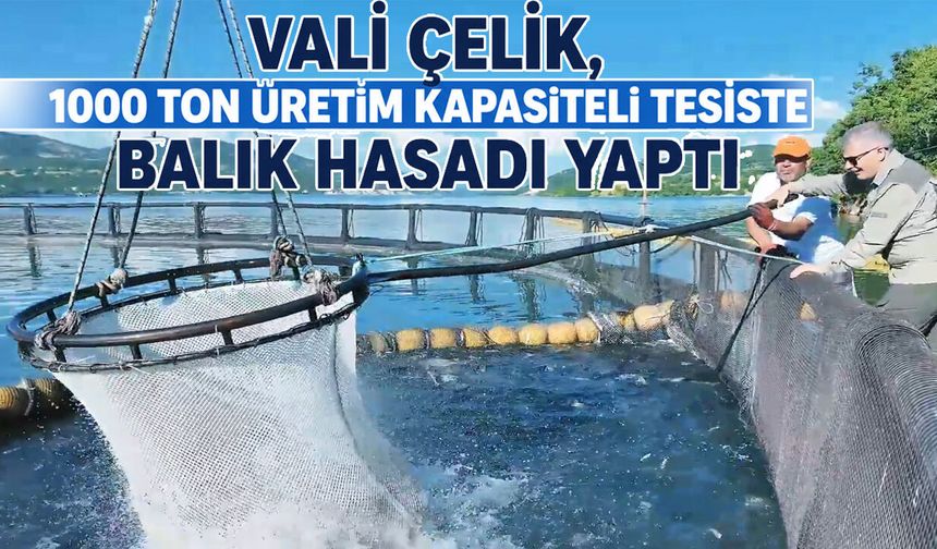 Bingöl’de 1000 Ton Kapasiteli Tesiste Balık Hasadı