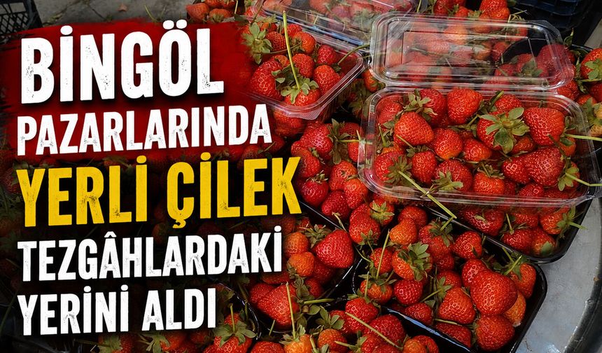 Bingöl Pazarlarında Yerli Çilek Tezgâhlardaki Yerini Aldı
