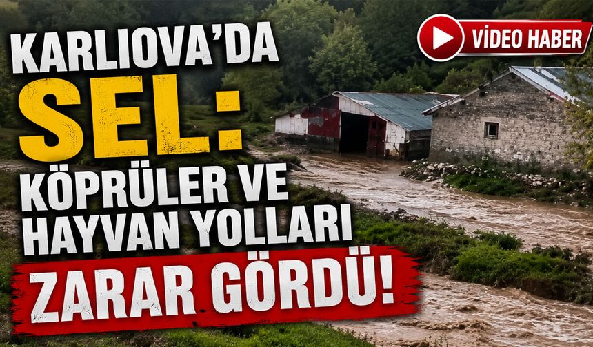 Karlıova'da Sel: Köprüler Ve Hayvan Yolları Zarar Gördü!