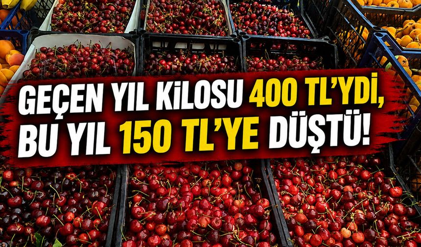 Geçen Yıl Kilosu 400 TL’ydi, Bu Yıl 150 TL’ye Düştü!
