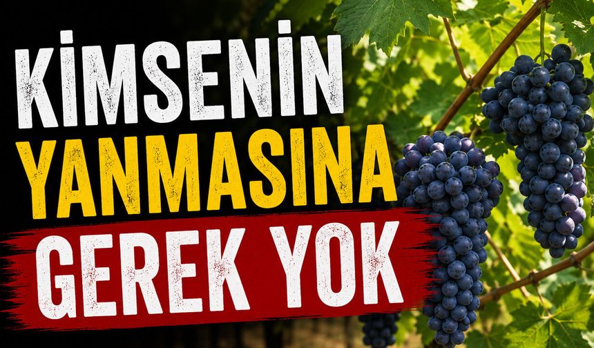KİMSENİN YANMASINA GEREK YOK