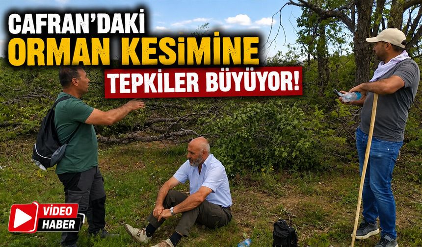 Cafran’daki Orman Kesimine Tepkiler Büyüyor!
