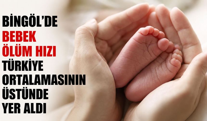 Bingöl’de Bebek Ölüm Hızı Türkiye Ortalamasının Üstünde Yer Aldı