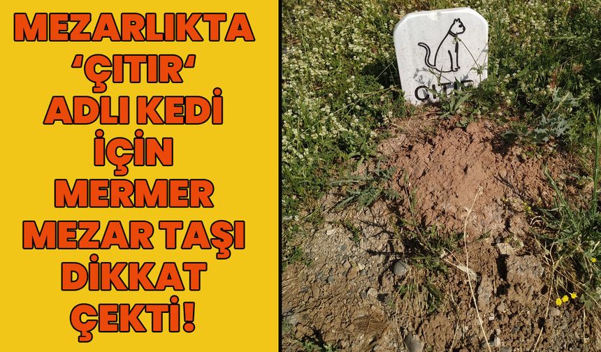 Bingöl'de Mezarlıkta 'Çıtır'a Mermer Mezar Taşı!