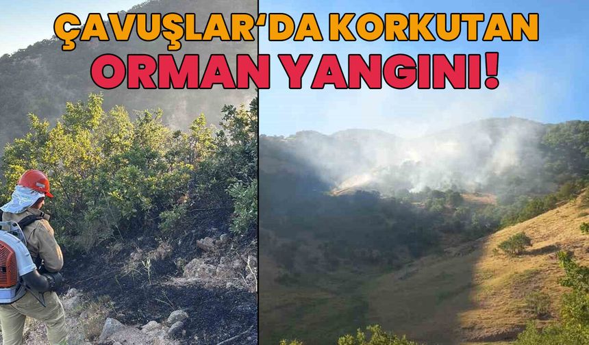 Bingöl'de Korkutan Orman Yangını!