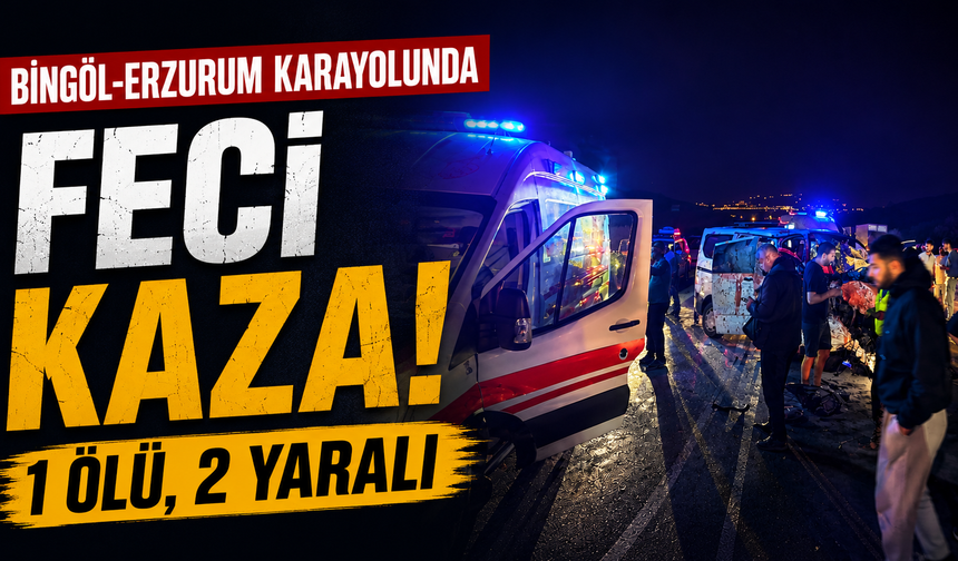Bingöl-Erzurum Karayolunda Feci Kaza: 1 Ölü, 2 Yaralı