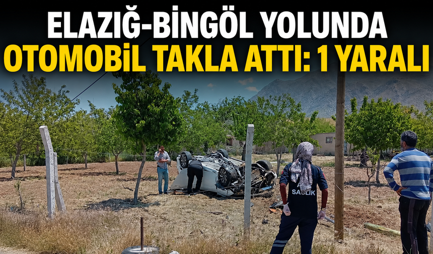 Elazığ-Bingöl Yolunda Otomobil Takla Attı: 1 Yaralı