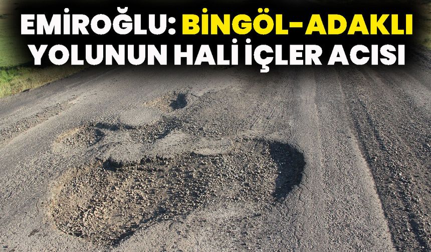 Emiroğlu: Bingöl-Adaklı Yolunun Hali İçler Acısı