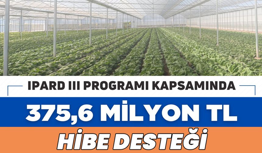 IPARD III ile Mayıs’ta 375 Milyon Lira Hibe Ödemesi