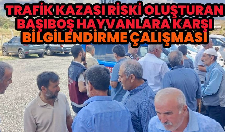 Bingöl’de 4 Köyde, ‘Karayollarında Kazalara Yolaçan Başıboş Hayvanlarla ilgili’ Bilgilendirme Çalışması