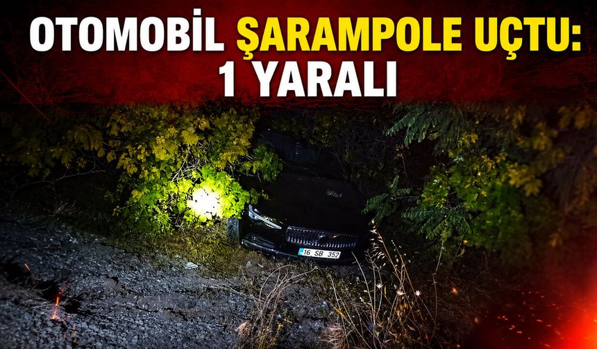 Otomobil şarampole uçtu: 1 yaralı