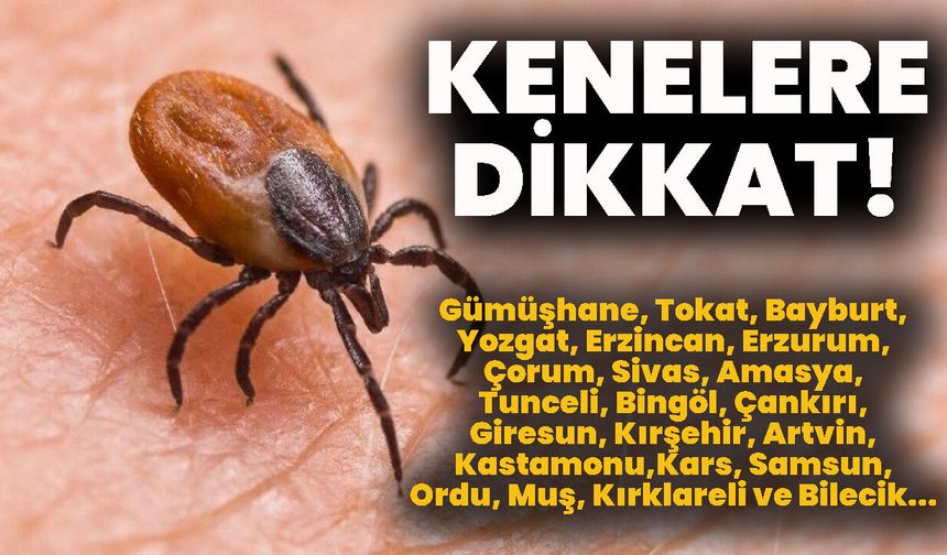 KENELERE DİKKAT!