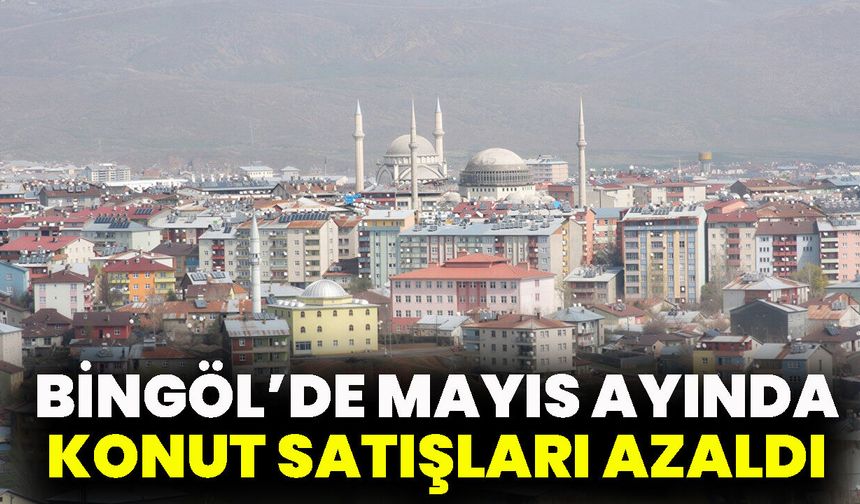 Bingöl’de Mayıs Ayında Konut Satışları Azaldı