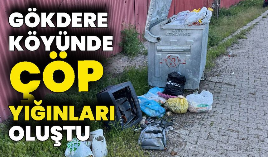 Gökdere Köyünde Çöp Yığınları Oluştu