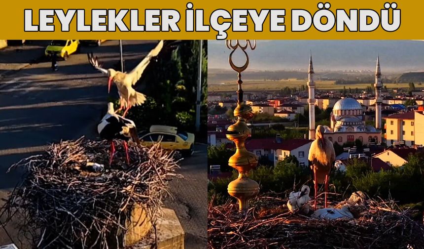 Bingöl’ün İlçesi Misafirlerini Ağırlıyor