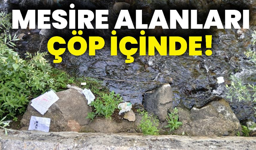 Mesire Alanları Çöp İçinde!