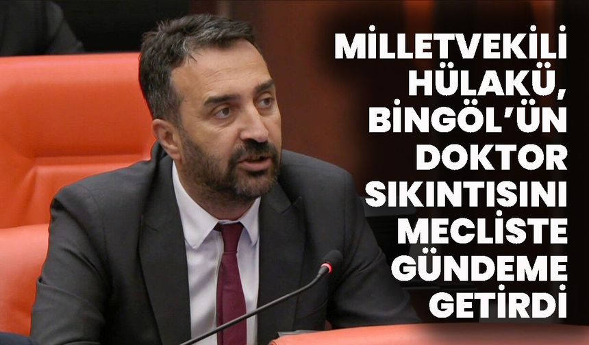 Milletvekili Hülakü, Bingöl’ün Doktor Sıkıntısını Mecliste Gündeme Getirdi