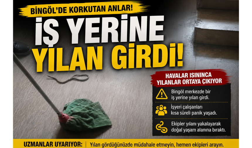 Bingöl’de İş Yerine Yılan Girdi