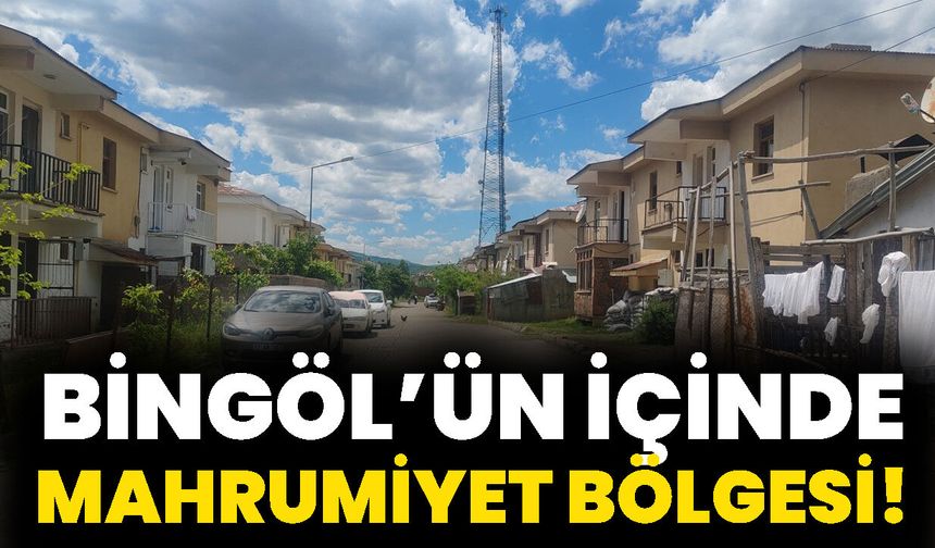 Bingöl’ün içinde mahrumiyet bölgesi!