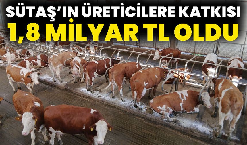 Sütaş’ın Üreticilere Katkısı 1,8 milyar TL Oldu